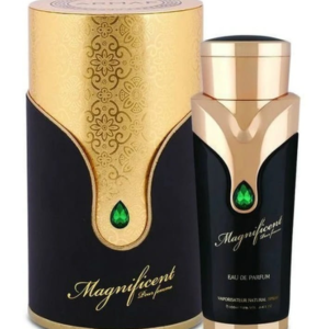 ARMAF MAGNIFICENT POUR FEMME EDP IN 100ML term
