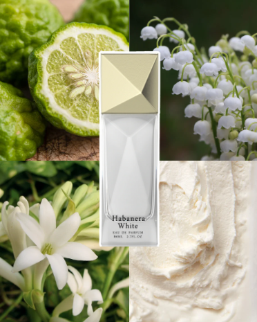 AURORA SCENTS Habanera White 80 ml EDP Eau de Parfum for women