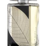 LATTAFA Najdia 100 ml EDP + DEO unisex Eau de Parfum