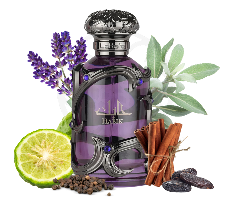 LATTAFA HABIK FOR MEN EDP 100ML Eau de Parfum for men