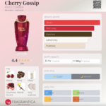 Paris Corner Emir Cherry Gossip 100ml Eau de Parfum for women