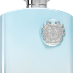 AFNAN SUPREMACY IN HEAVEN EDP M 100ML Eau de Parfum for men