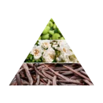 AZHA ISHQ EDP W 100ML woda perfumowana damska