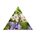 AZHA ATTAR AL KHAYAL CONCENTRATED PERFUME U 15ML perfumy w olejku unisex