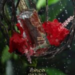PARIS CORNER Ibisco Nirvana EDP 65 ml woda perfumowana unisex