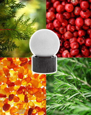 AURORA SCENTS Café Citadel 100 ml EDP woda perfumowana unisex