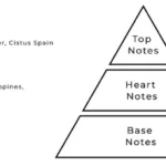 AURORA SCENTS Café Citadel 100 ml EDP woda perfumowana unisex