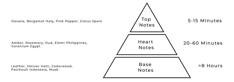 AURORA SCENTS Café Citadel 100 ml EDP woda perfumowana unisex