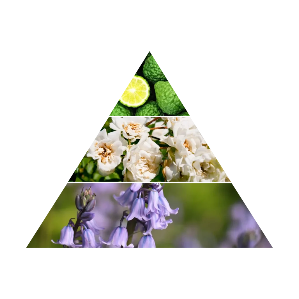 AZHA CIGAR OUD EDP M 100ML woda perfumowana unisex