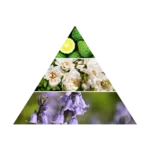 AZHA CIGAR OUD EDP M 100ML woda perfumowana unisex