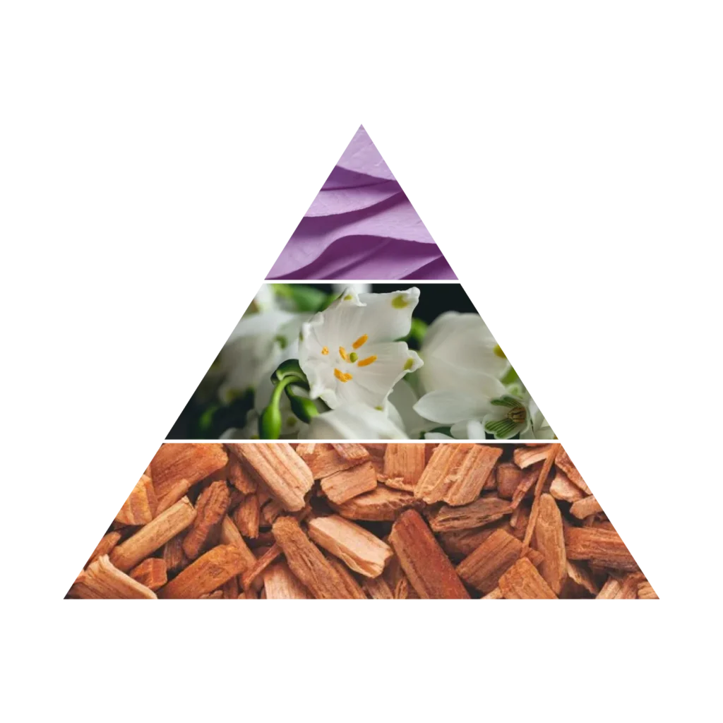 AZHA ATTAR SOLANA CONCENTRATED PERFUME 12ML perfumy w olejku unisex