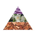 AZHA ATTAR SOLANA CONCENTRATED PERFUME 12ML perfumy w olejku unisex