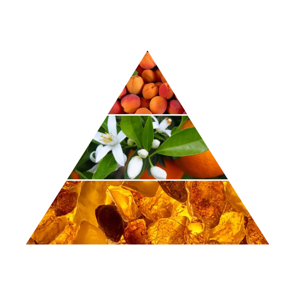 AZHA ARABIAN LADY EDP W 100ML woda perfumowana damska