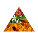 AZHA ARABIAN LADY EDP W 100ML woda perfumowana damska