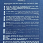 FRENCH AVENUE SAFARI BREEZE EDP U 100ML woda perfumowana unisex