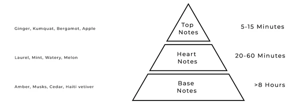 AURORA SCENTS Atmosphere 100 ml EDP woda perfumowana unisex