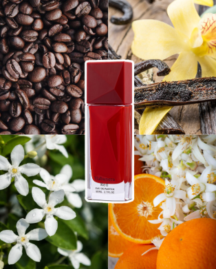 AURORA SCENTS Habanera Red 80 ml EDP woda perfumowana damska