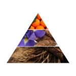 AZHA AMAL EDP W 100ML woda perfumowana damska