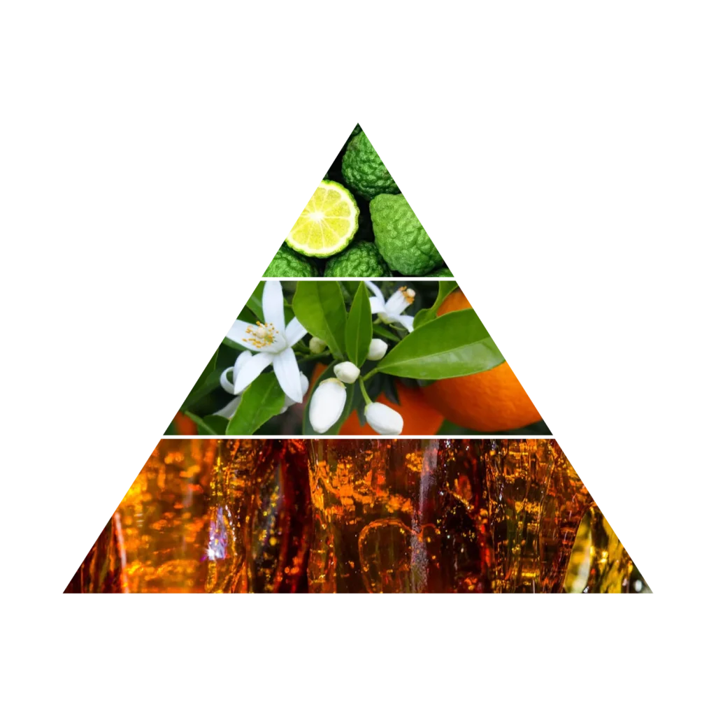 AZHA ATTAR AL NOOR CONCENTRATED PERFUME 10ML perfumy w olejku unisex