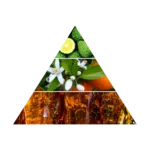 AZHA ATTAR AL NOOR CONCENTRATED PERFUME 10ML perfumy w olejku unisex