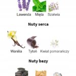 Lattafa The Kingdom EDP 100 ml woda perfumowana męska