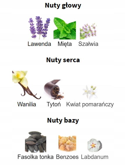 Lattafa The Kingdom EDP 100 ml woda perfumowana męska