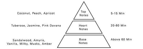 AURORA SCENTS Illicit 100 ml EDP woda perfumowana damska