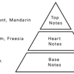 AURORA SCENTS Deciduous Spring 100 ml EDP woda perfumowana damska