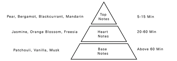 AURORA SCENTS Deciduous Spring 100 ml EDP woda perfumowana damska