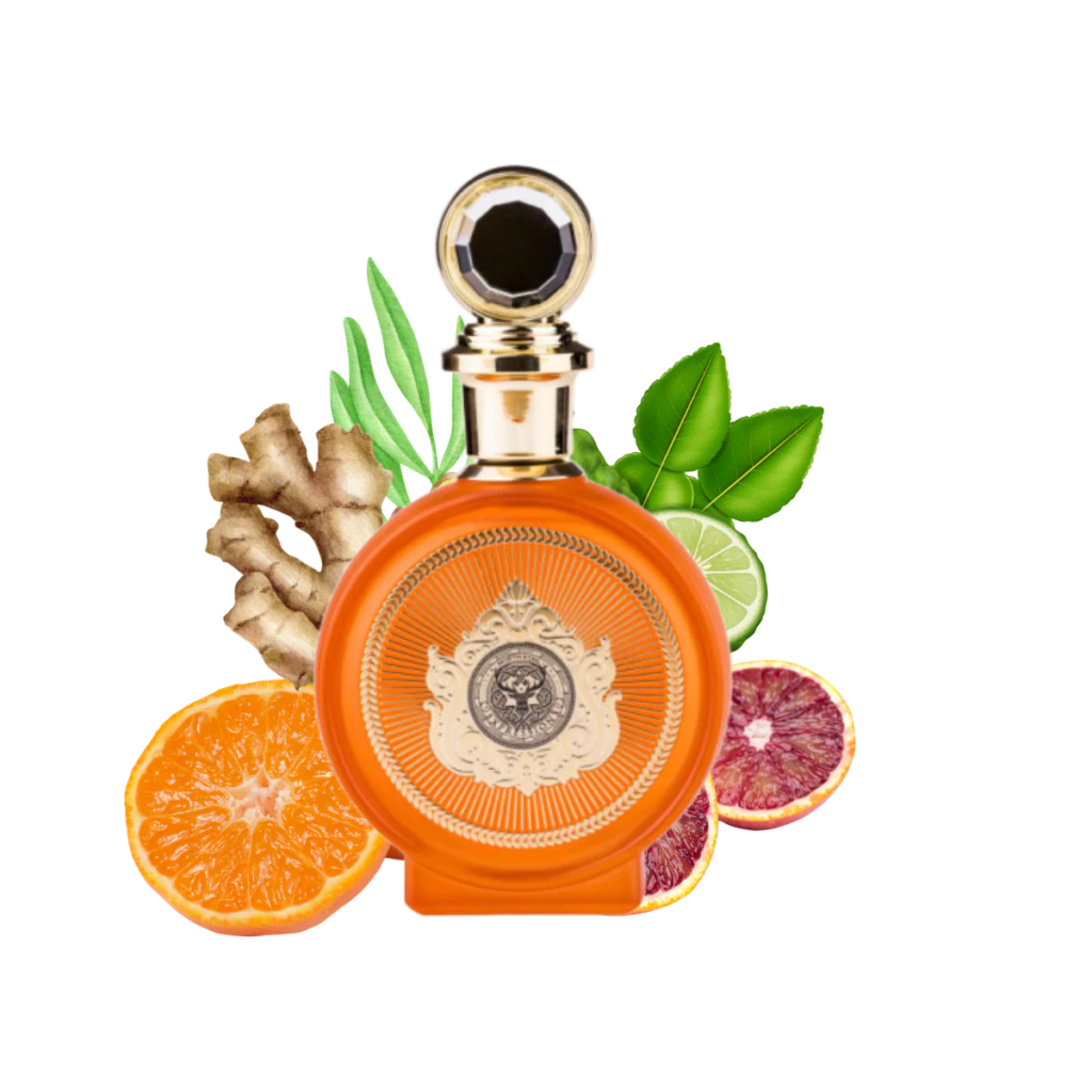 PARIS CORNER North Stag Expressions IV Quatre EDP 100 ml woda perfumowana