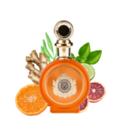 PARIS CORNER North Stag Expressions IV Quatre EDP 100 ml woda perfumowana