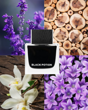 AURORA SCENTS Black Potion100 ml EDP woda perfumowana męska