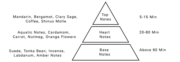 AURORA SCENTS Grey Ash 100 ml EDP woda perfumowana męska