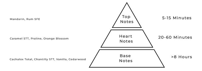 AURORA SCENTS Vanilla Espresso 100 ml EDP woda perfumowana unisex