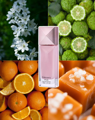 AURORA SCENTS Habanera Pink 80 ml EDP woda perfumowana damska