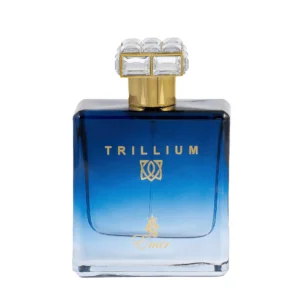 PARIS CORNER Emir Trillium EDP 100 ml woda perfumowana męska