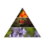 AZHA ATTAR AL MARAQY CONCENTRATED PERFUME 12ML perfumy w olejku unisex