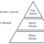 AURORA SCENTS Forbidden Love100 ml EDP woda perfumowana damska