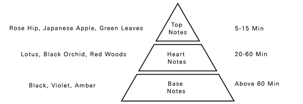 AURORA SCENTS Forbidden Love100 ml EDP woda perfumowana damska