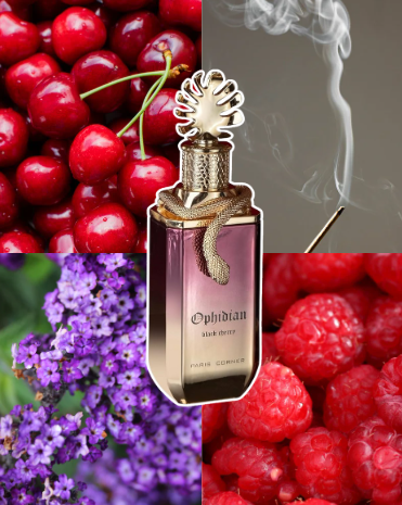 PARIS CORNER Ophidian Black Cherry 100 ml woda perfumowana unisex