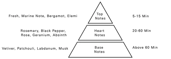 AURORA SCENTS Iconic Inverse 100 ml EDP woda perfumowana męska