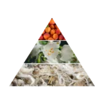 AZHA AL NAYYIR EDP W 100ML woda perfumowana damska