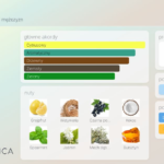 FRENCH AVENUE SAFARI BREEZE EDP U 100ML woda perfumowana unisex