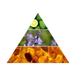 AZHA QALB EDP W 100ML woda perfumowana damska