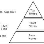AURORA SCENTS Deciduous Summer 100 ml EDP woda perfumowana damska