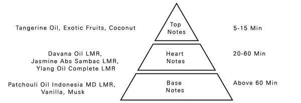 AURORA SCENTS Deciduous Summer 100 ml EDP woda perfumowana damska