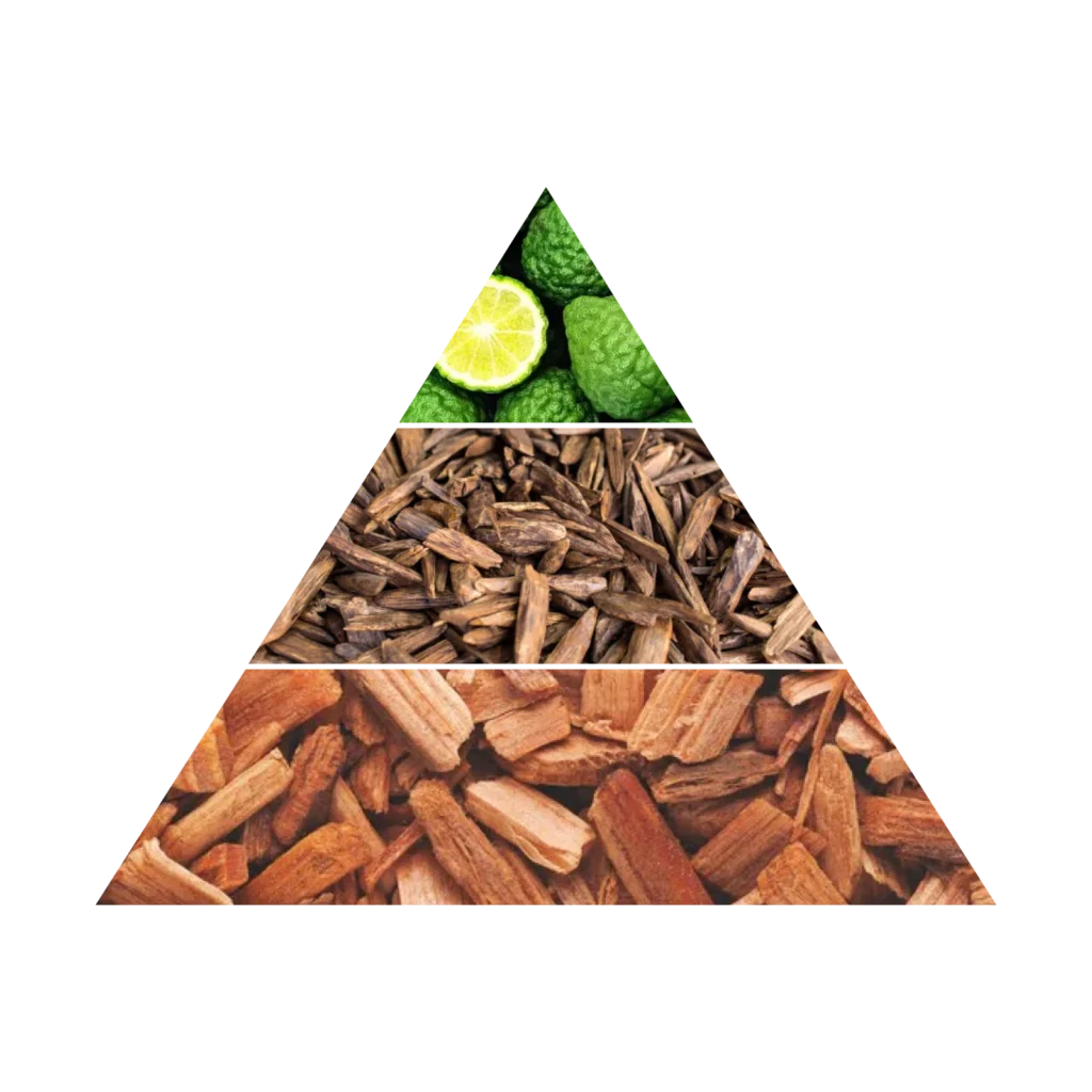 AZHA AGARWOOD AMBER EDP 100ML woda perfumowana unisex