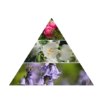 AZHA OMANI MUSK ROOM & LINEN FRESHENER 500ML