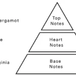 AURORA SCENTS Gemini 50 ml + Gemini Bloom 50 ml  EDP woda perfumowana damska