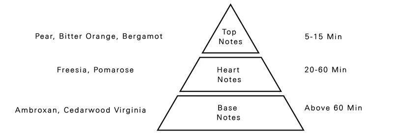 AURORA SCENTS Gemini 50 ml + Gemini Bloom 50 ml  EDP woda perfumowana damska